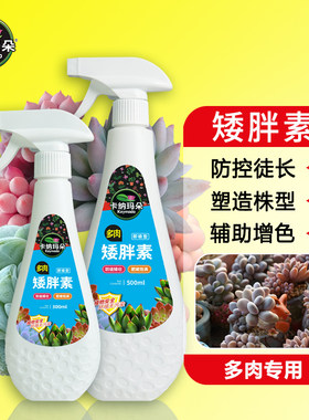 卡纳玛朵矮胖素多肉增色增肥营养