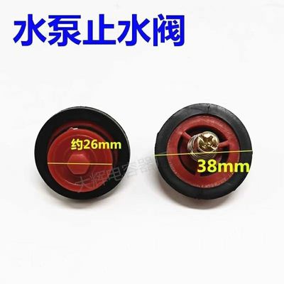 中国塑料电力止回阀水泵