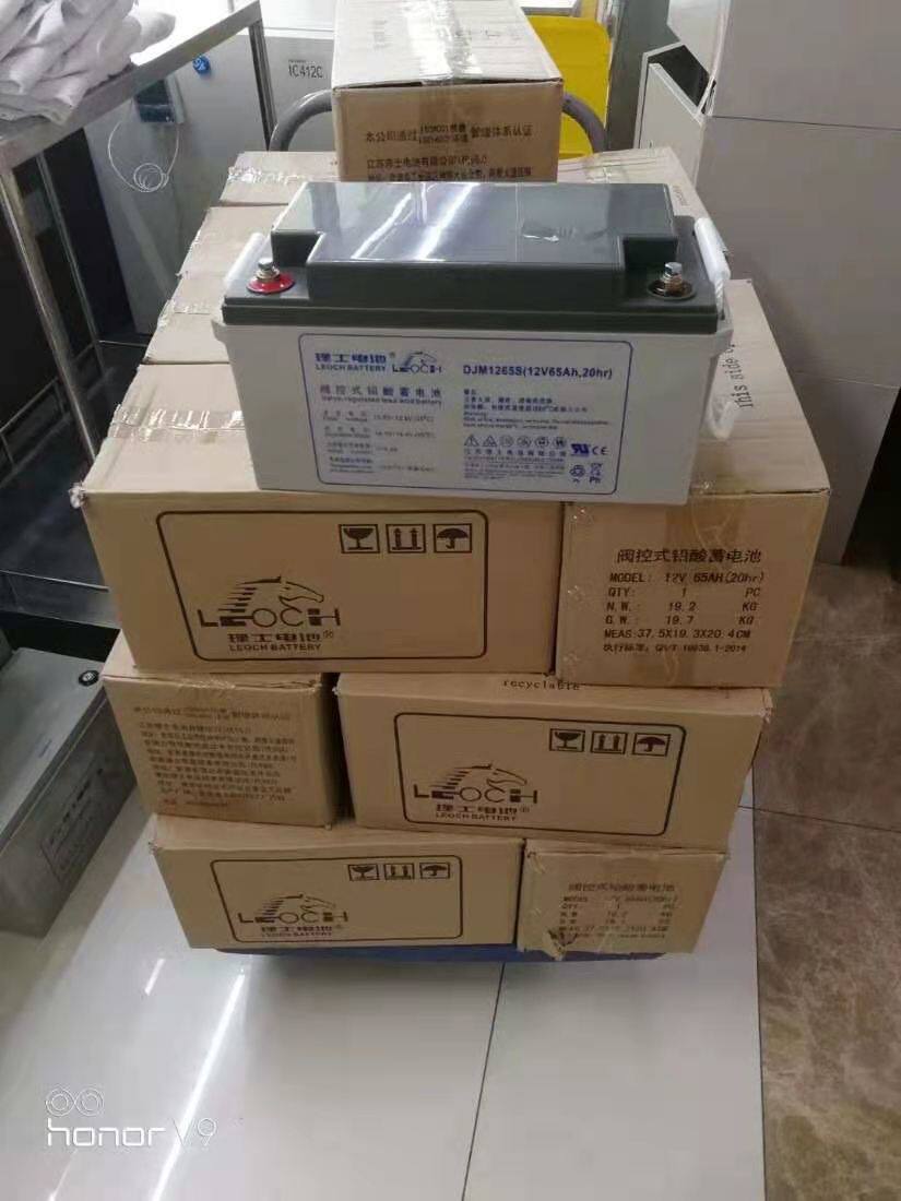 Leoch DJM1265S12V65AH maintenance-free DC screen UPS EPS communication computer system Photovoltaic dedicated