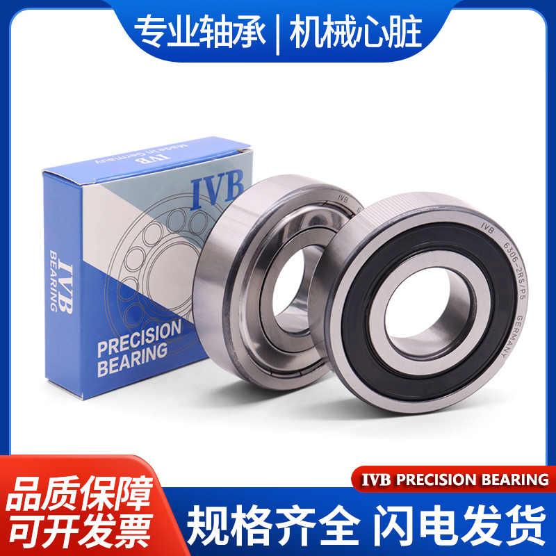 IVB德国进口电机高速轴承大全