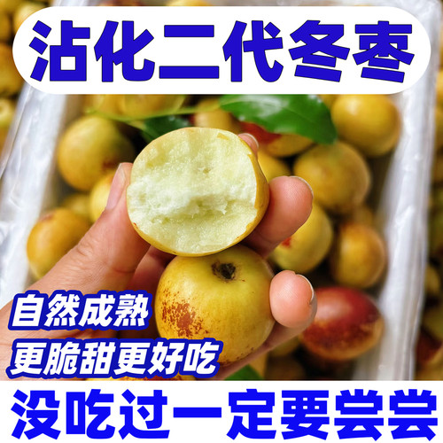 山东沾化冬枣5斤短枝二代冬枣脆枣甜枣新鲜当季水果包邮现摘现发