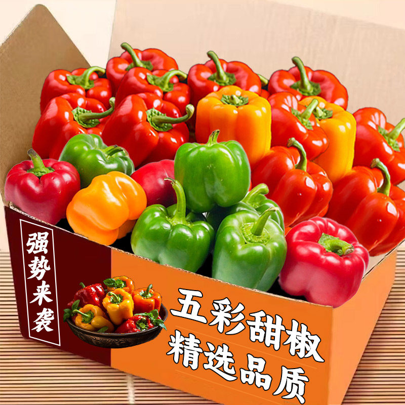 新鲜现摘彩椒五彩椒水果辣椒寿光农家自种蔬菜太空椒新鲜蔬菜包邮