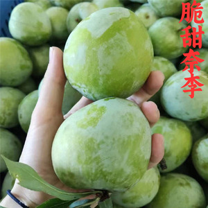 广西奈李新鲜水果当季现摘现发大李子青奈空心桃形李脆甜油奈包邮