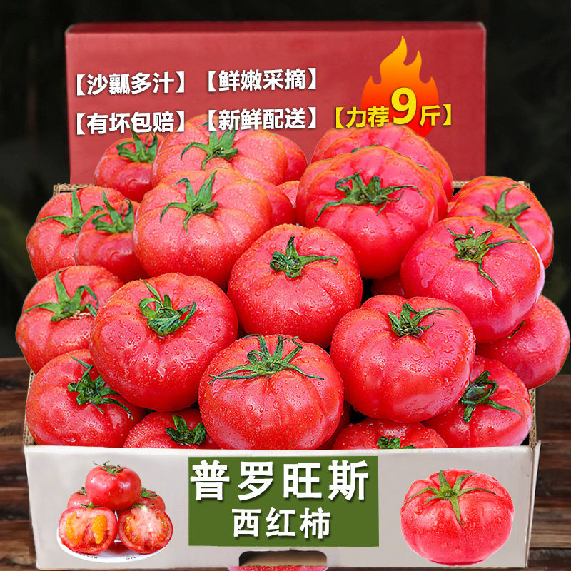 沙瓤西红柿12-18颗,老农精选!
