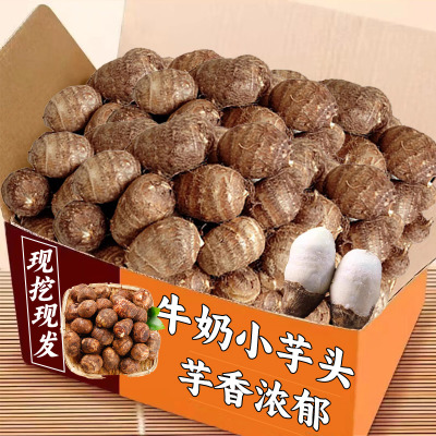 牛奶小芋头精品15颗装，日限一单