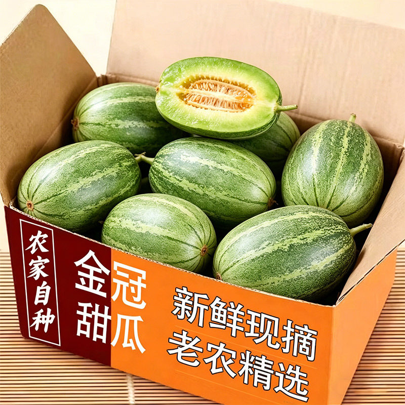 新鲜现摘头茬山东金冠甜瓜农家自种老农精选当季水果甜瓜新鲜包邮