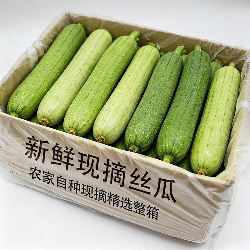 新鲜现摘丝瓜农家自种精选整箱产地直发当季长条丝瓜蔬菜新鲜包邮