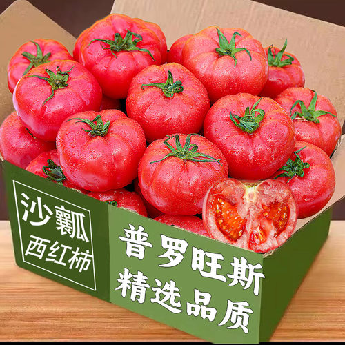 沙瓤西红柿12-18颗，老农精选！
