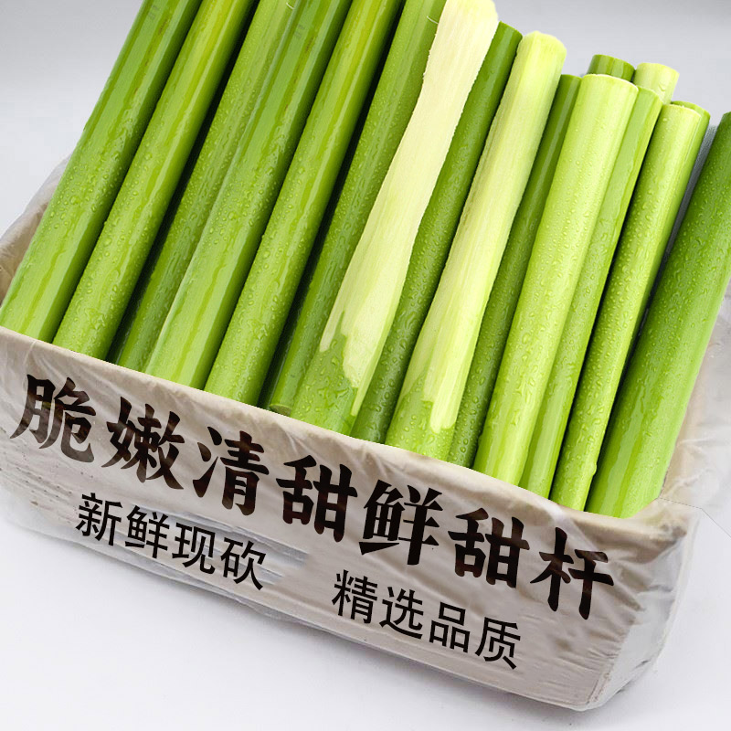 甜杆小甘蔗新鲜甜芦粟芦新鲜包邮