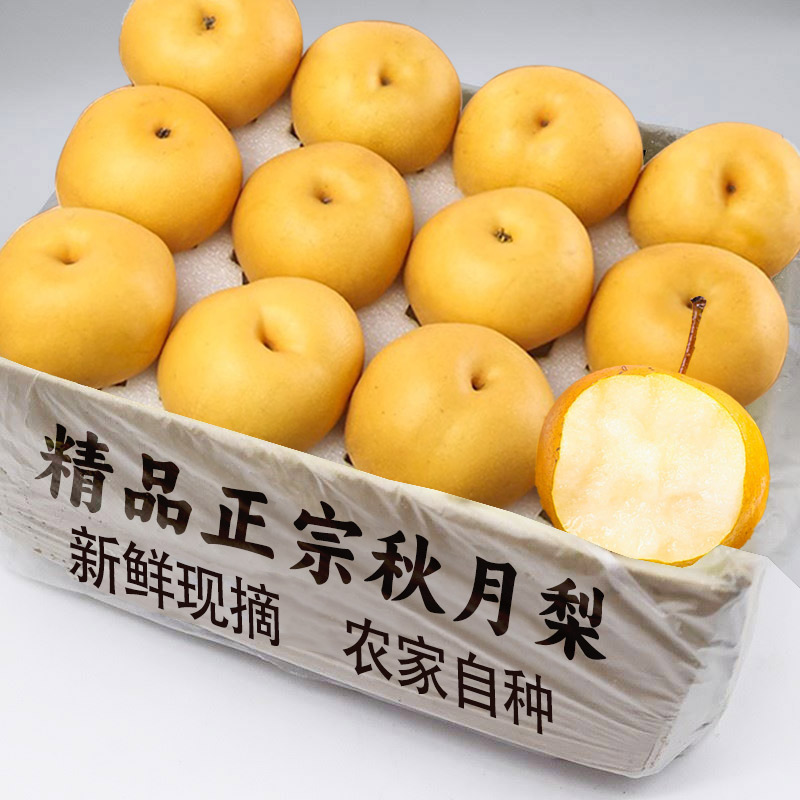 正宗秋月梨河北新鲜冰糖梨水润多汁当季现摘孕妇水果整箱新鲜包邮