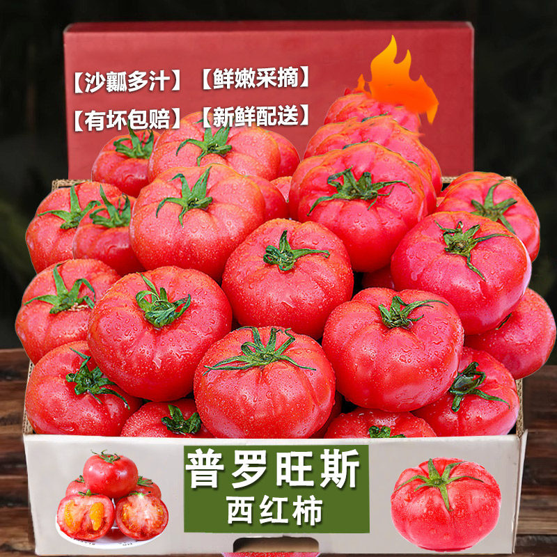 沙瓤西红柿12-18颗,老农精选!