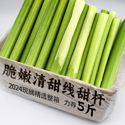 甜杆小甘蔗新鲜甜芦粟芦新鲜包邮