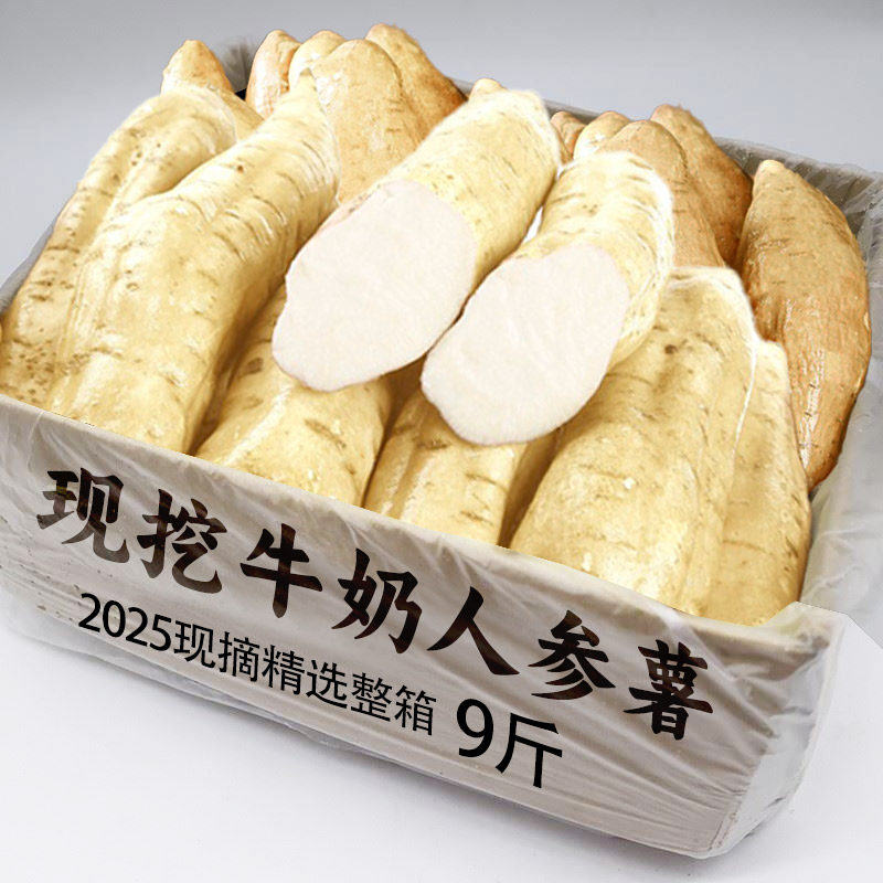 正宗白皮人参薯白瓤牛奶人参薯新鲜现摘白薯白心白芯地瓜板栗番薯