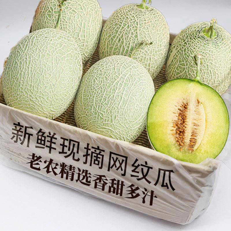 现摘网纹瓜新鲜现摘网纹玫珑瓜新鲜哈密瓜当季水果玲珑冰淇淋蜜瓜