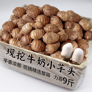牛奶小芋头精品15颗装，日限一单