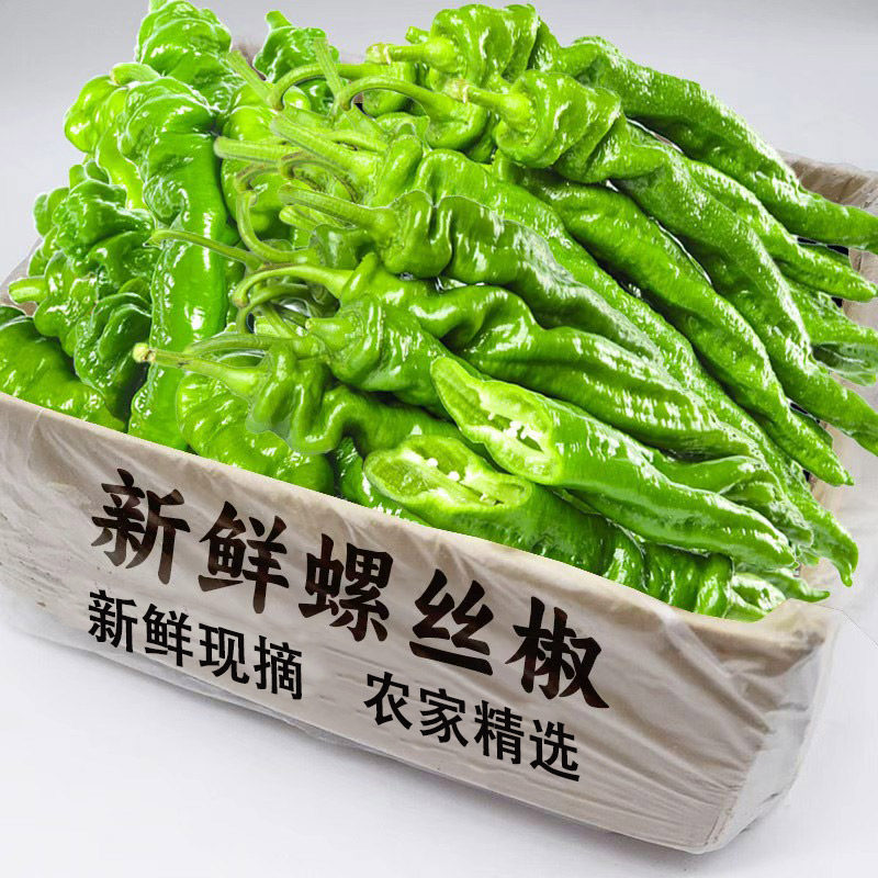 新鲜现摘螺丝椒现摘农家自种精选整箱特螺丝椒大辣椒现摘新鲜包邮