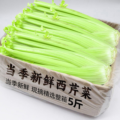 新鲜西芹5斤榨汁芹菜生吃凉拌