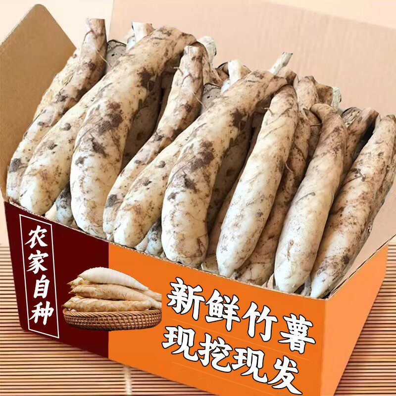 新鲜竹薯2斤农家现挖无渣竹芋