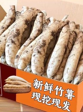 新鲜竹薯农家现挖无渣竹芋力荐5斤当季冬粉薯凉粉薯根茎薯汤包邮1