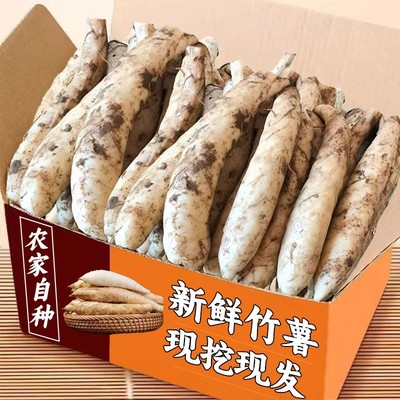 新鲜竹薯农家现挖无渣竹芋力荐5斤当季冬粉薯凉粉薯根茎薯汤包邮1