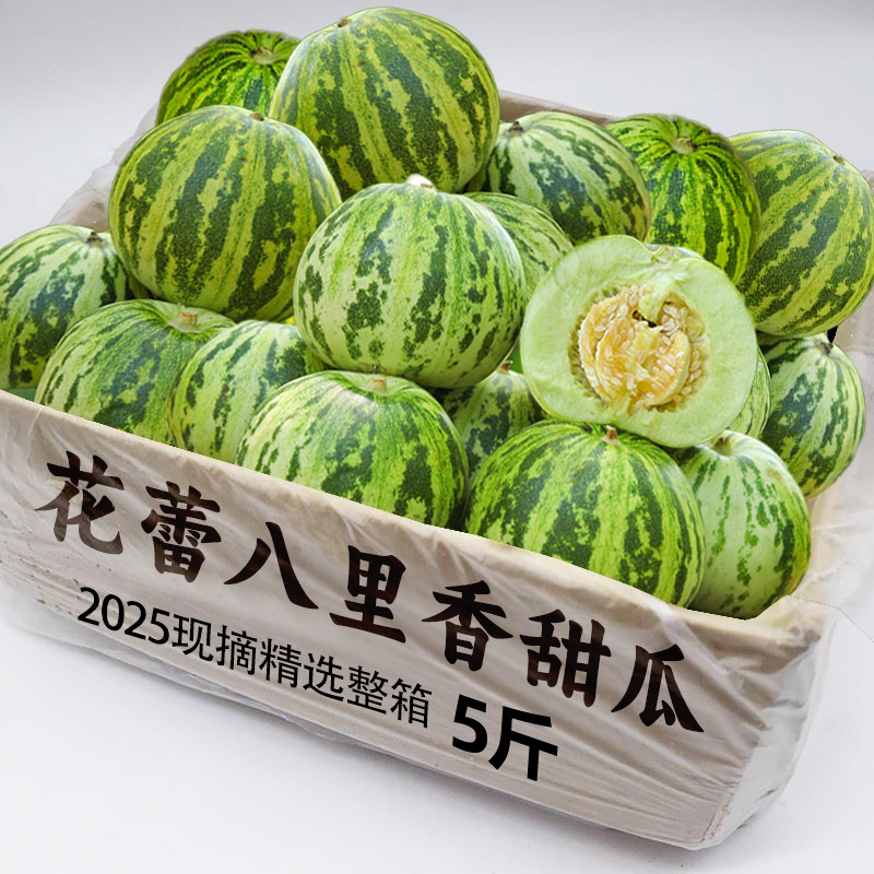 现摘八里香甜瓜7颗装!精选品质