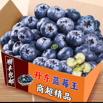 新鲜现摘蓝莓王8盒顺丰包邮