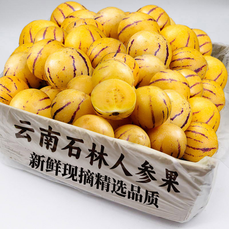 鲜甜人参果15颗装。日限一单特价