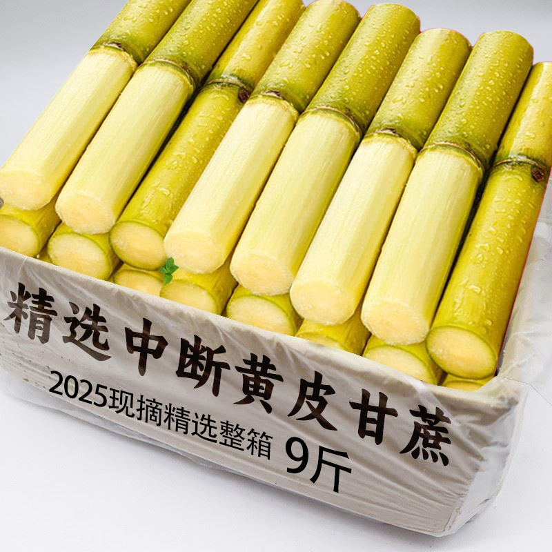 云南黄金甘蔗脆甜黄皮新鲜现砍水果当季非黑皮甘蔗清甜孕妇可吃