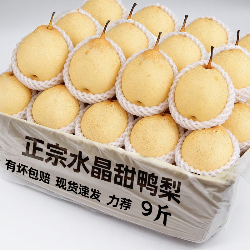 ���ڲ�����3�� С��������ե֭��ѡ�� ���ںӱ�Ѽ��������9�� 9.7Ԫ