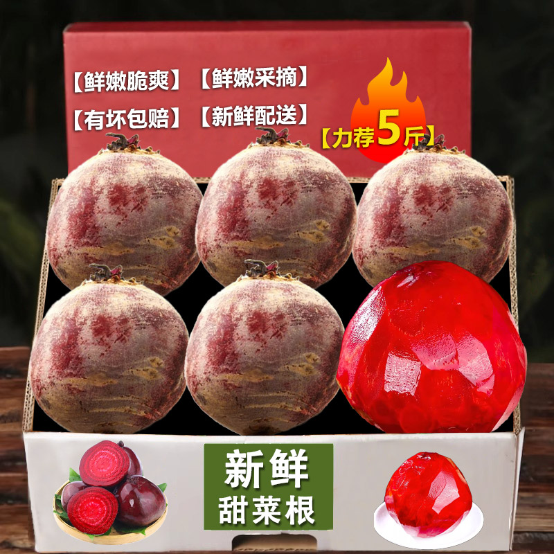新鲜现挖原生态甜菜根打汁甜根菜甜菜头红菜头现挖现发新鲜包邮发图片