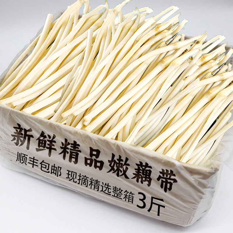 250g 2025ںź3119.7Ԫ