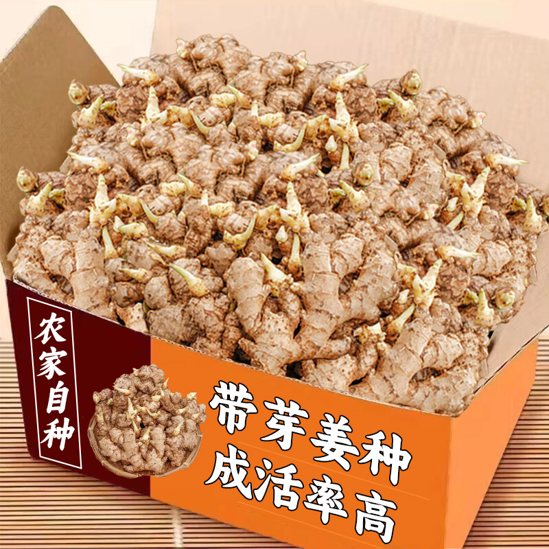 ڲ250g 2025Сƽ95.7Ԫ