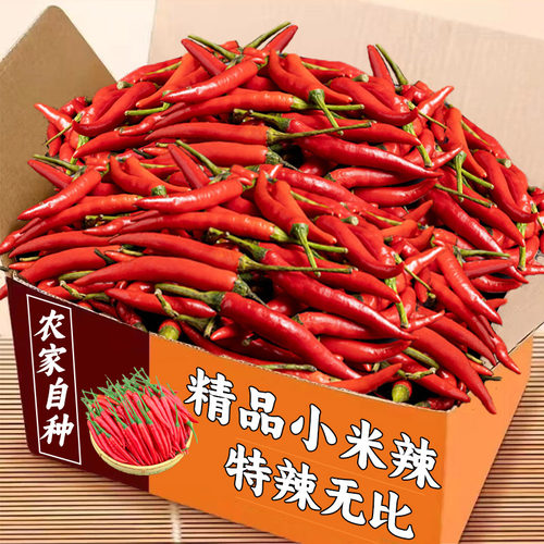 精品特辣小米椒2斤装！老农精选