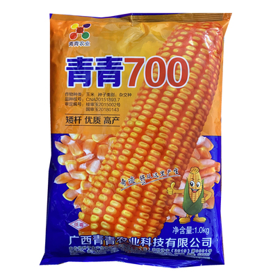 青青700玉米种子 春播杂交玉米种包谷种子矮杆大棒喂鸡鸭玉米种子