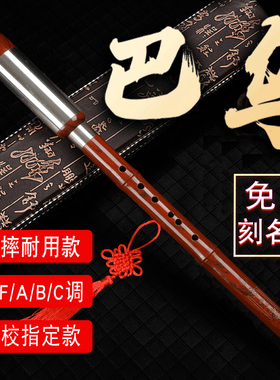 巴乌演奏树脂竖吹仿红木c调b调g调f调小学生成人初学横吹巴乌乐器