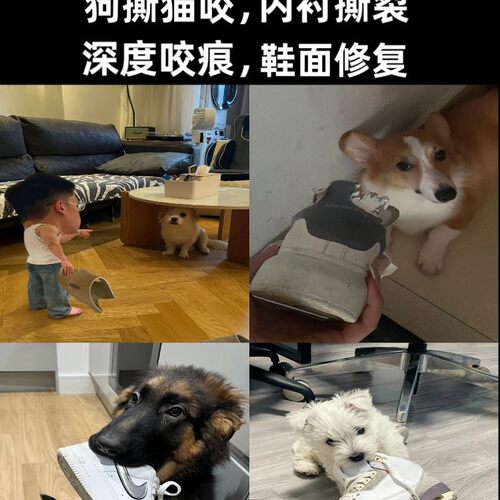 适用于Dunksb换底空军一号换内衬