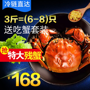 【精挑活蟹】3斤6-8只特大螃蟹大闸蟹公蟹残蟹断脚蟹红膏蟹残次蟹