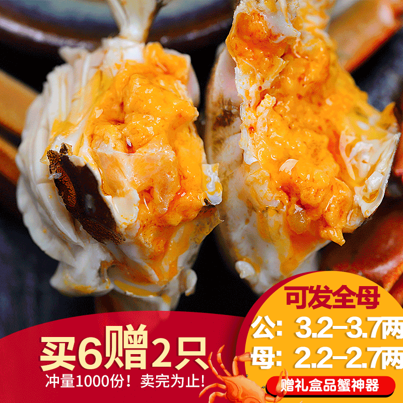 活蟹大闸蟹鲜活现货兴化红膏蟹