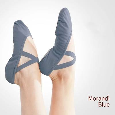 Women Ballet shoes Dance Adult Children Ballet Slippers Soft