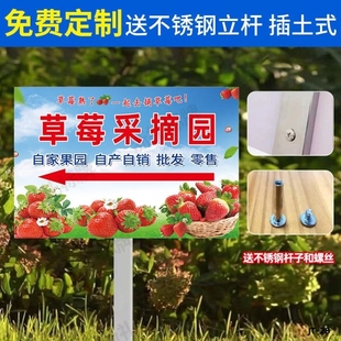 草莓采摘园指示标示牌定制采摘园草莓宣传草莓种植区插地式提示牌