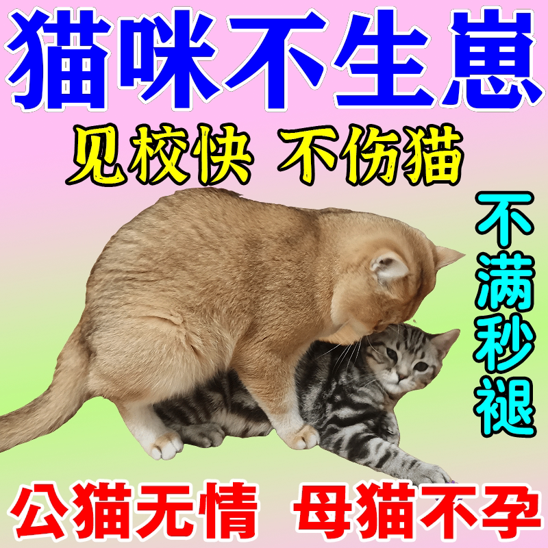 猫咪绝育药母猫专用宠物猫终身绝育抑制发情期叫春嚎叫躁动禁情片