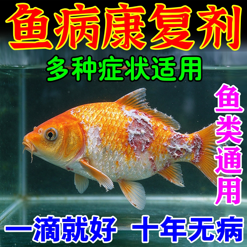 鱼病专用药万能疾病治疗烂身尾白点水产养殖鱼塘鱼池消毒杀菌药Z