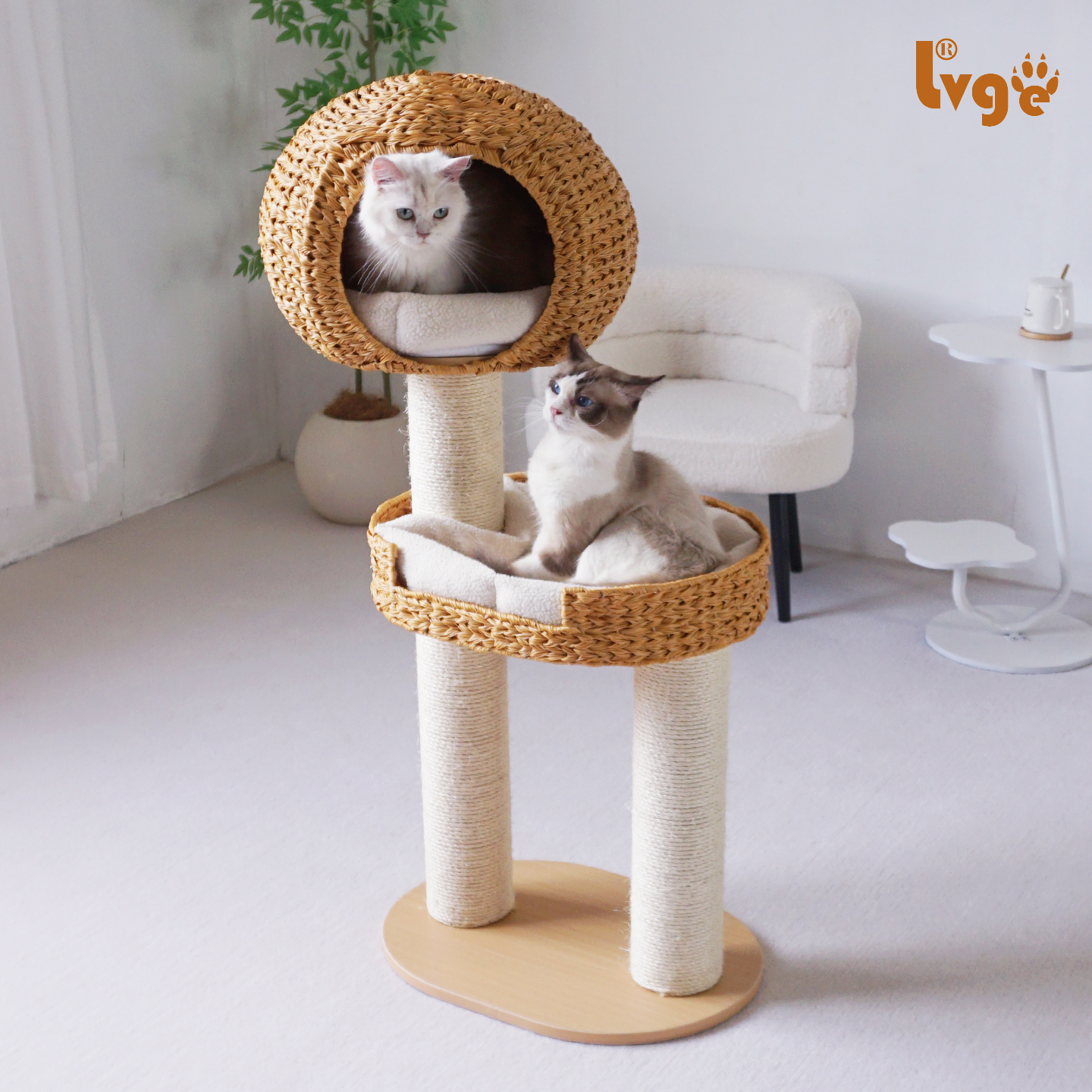 绿歌藤编猫爬架粗柱子多省包邮猫树猫窝猫抓板猫跳台剑麻猫别墅