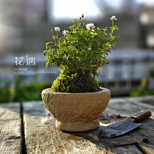 仿石臼简约耐用水培花盆