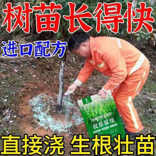 树木生长素猛长速特快果