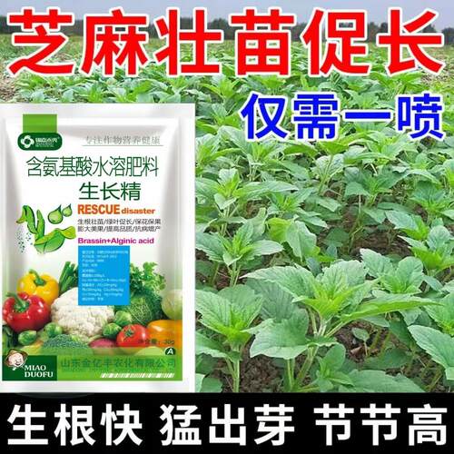 芝麻专用肥料芝麻壮苗促长剂根系粗壮快速生长粒粒饱增产叶面肥