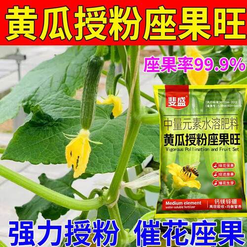 黄瓜坐瓜灵授粉坐果精保花坐果防落果懒人授粉猛座果喷雾叶面肥