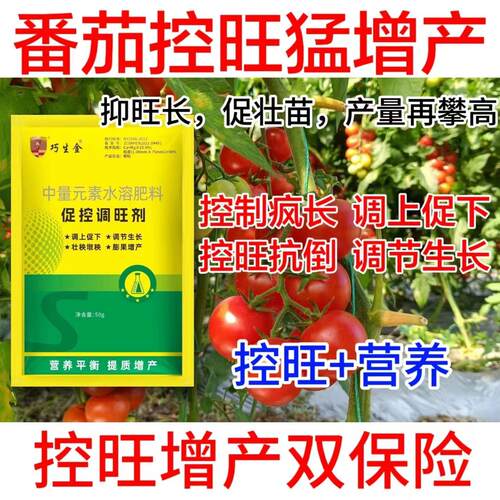番茄控旺剂番茄矮壮控旺用番茄作物控长矮化调节生长剂增产专用