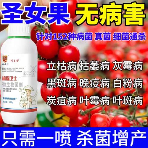 圣女果病害专用药圣女果病全治番茄病菌清白粉炭疽病圣女果杀菌剂