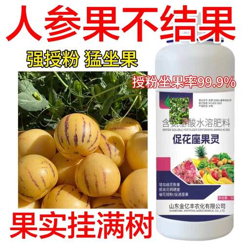 人参果强力授粉座果精坐果灵果树蔬菜保花保果促授粉专用叶面肥